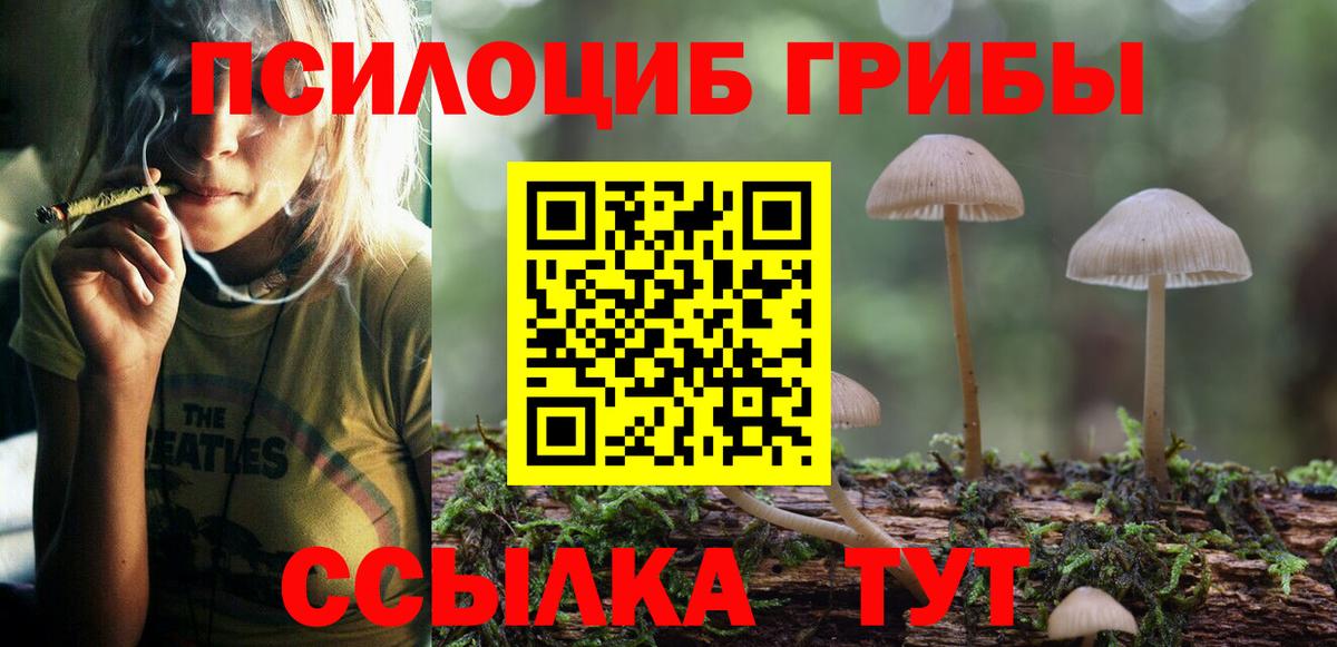 Галлюциногенные грибы MAGIC MUSHROOMS  Вход с VPN  Кыштым 
